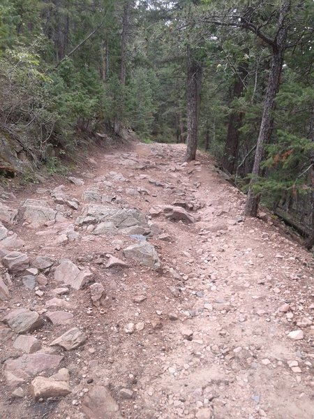 The terrain of the trail for the first part. It gets less rocky, farther on!