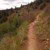 Hiker only trail - Golden Eagle Trail