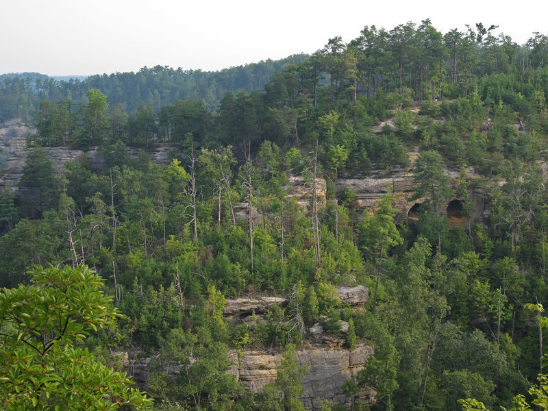 Across the gorge.