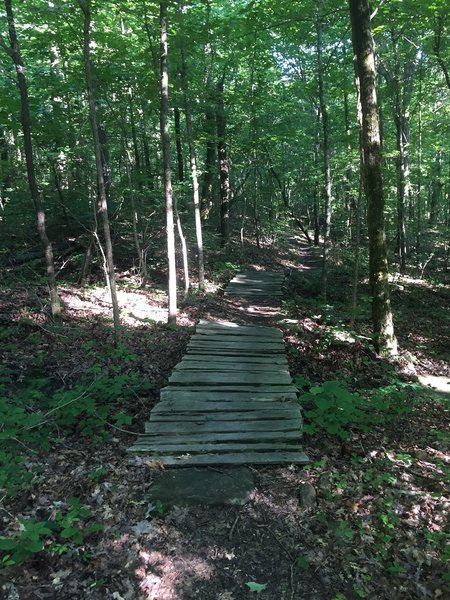 One of a few wooden bridges on the Logan Point Trail