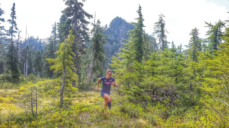 Running through the marshy meadows towards the end of the Ridley Creek Trail