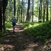 Running through beautiful New England forests