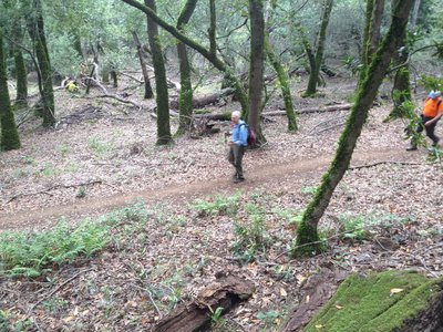 Sonoma Mountain Ridge Trail opens to the public, Spring, 2015.