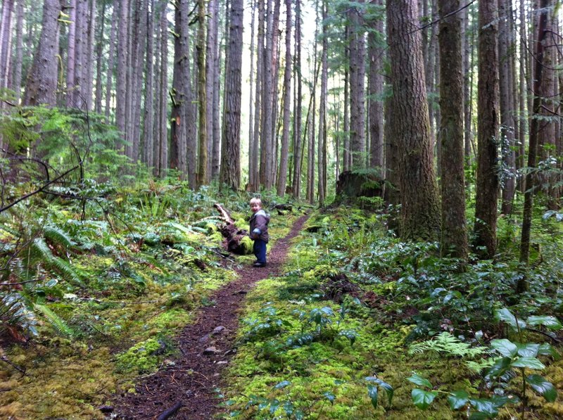 Kids love this trail, too!