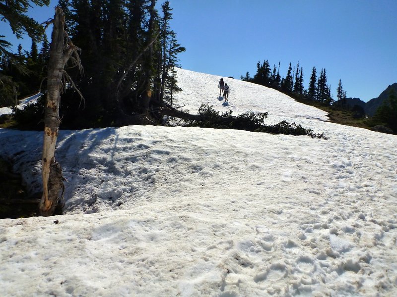 Crossing snowfields on the Klahhane Ridge - by Rick McCharles