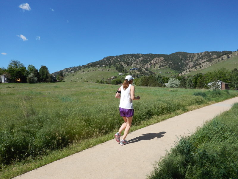 Nice day for a run on these neighborhood paths