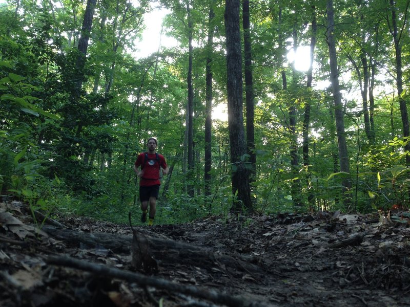 Beginning of the trail is pretty smooth and fun