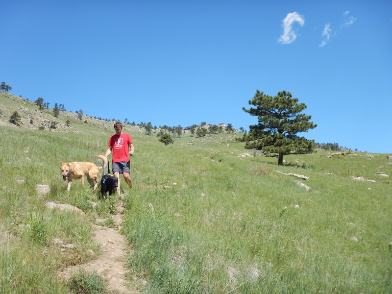 Descending the Wonderland Hill Glider Trail