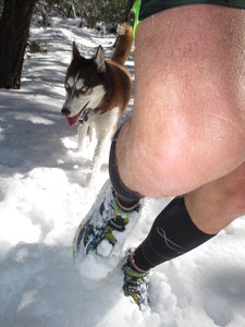 Spring time - fun time!