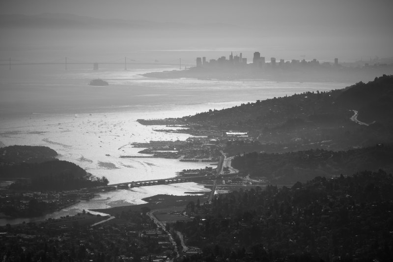 Looking down on the city from Mt. Tam.