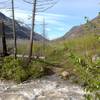 This crossing is tough when you are hiking at high water, as my dad and I did last week. If you don't want to get wet, though, you can walk across tree trunks that have fallen across the river.