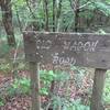 Old wooden sign for the Wagon Road