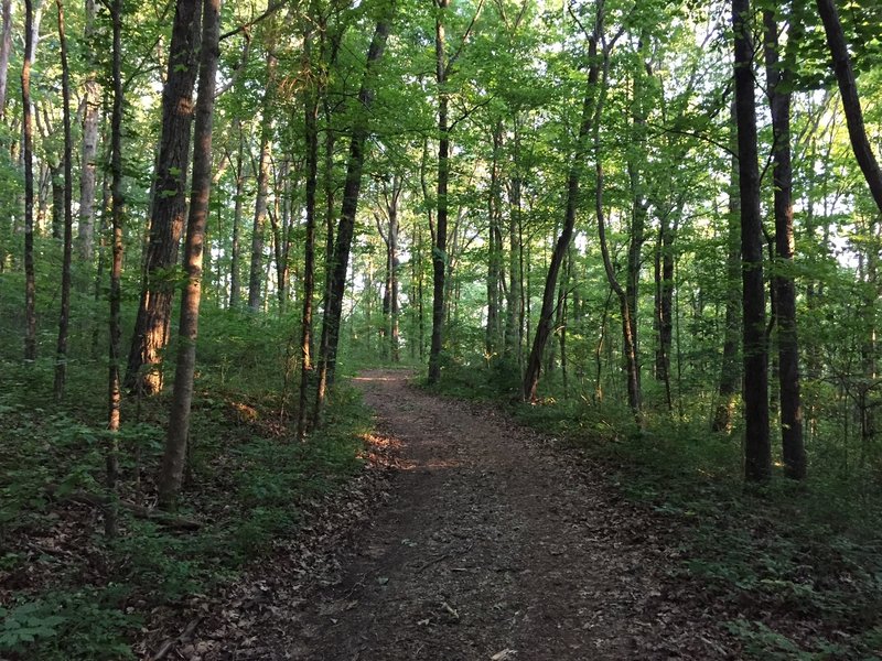 DoubleTrack on the Rock Bluff Trail