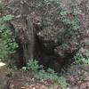 Vertical Shaft Cave just off of Warpath ridge Trail