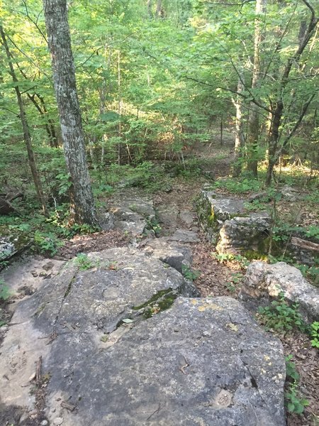 Rock section of the Warpath Ridge Trail