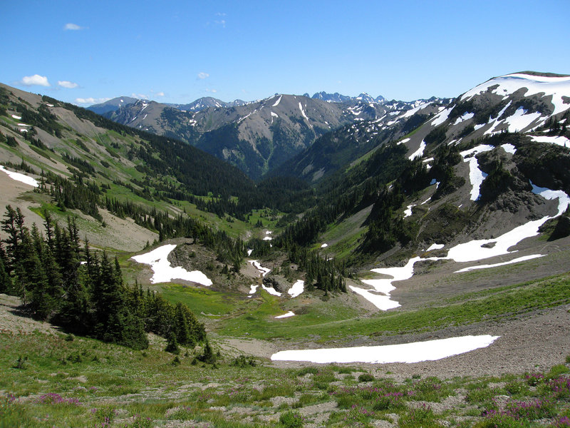 View down into Badger Valley from the Obstruction Point - Deer Park trail.  (photo by pfly)