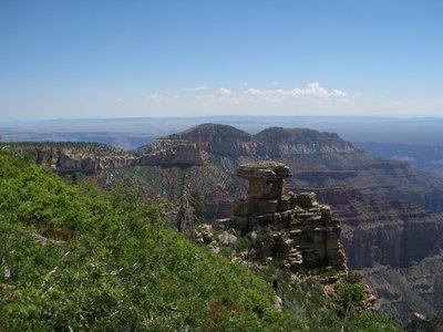 Saddle Mountain in the distance (photo by brewbooks)