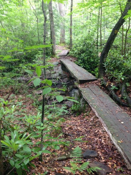 Typical creek crossing along the LHHT using fallen trees cut in half.  Slippery when wet.