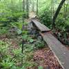 Typical creek crossing along the LHHT using fallen trees cut in half.  Slippery when wet.