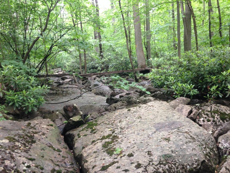 A tree bridge crossing a creek/rock field at mile marker 15, which stands between the creek.