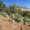 Junction of Hermit Trail and Dripping Springs Trail  (NPS Photo by Michael Quinn)