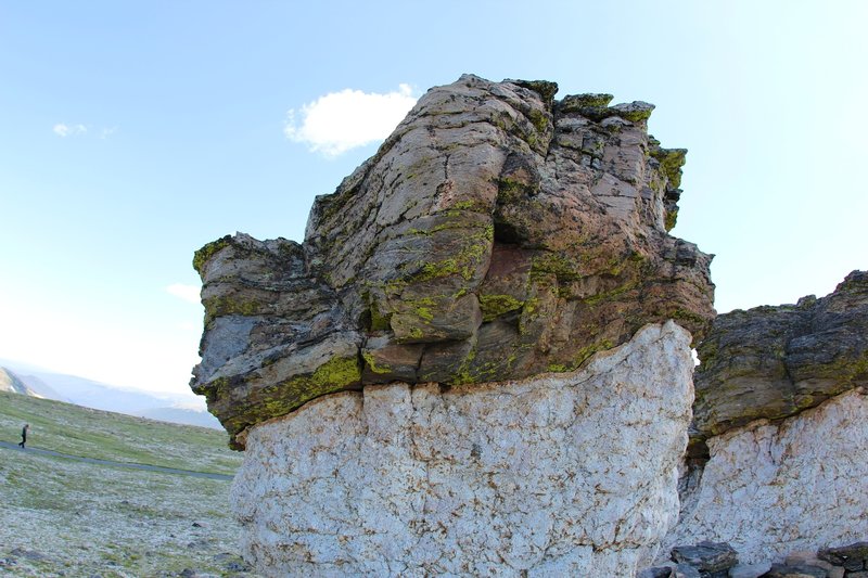 Lichen hanging from mushroom rock