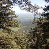 One last view through the trees from the Plains Overlook Trail