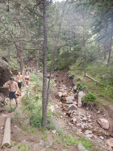 The trail parallels a stream (turned eroded ravine after the 2013 floods)