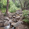 Hop across rocks here to cross the stream.  There is a lot of flood debris scattered around here.