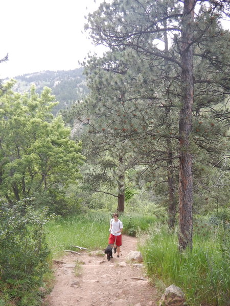 Ascending the Bluebell-Baird Trail with man's best friend