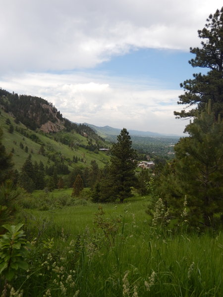 One of several views north through the trees