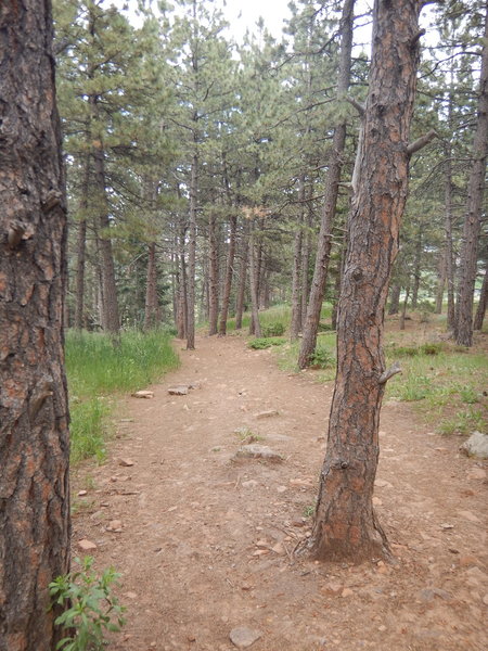 Starting down the Ski Jump Trail