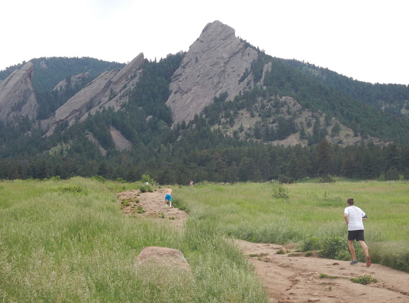 Trail runners hump it up the main Chautauqua Trail