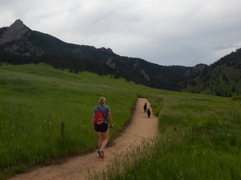 Heading west through the Chautauqua meadows