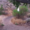 Lower Butte trailhead