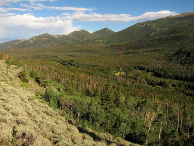 View east from Bierstadt Lake Trail in Rocky Mountain National Park
