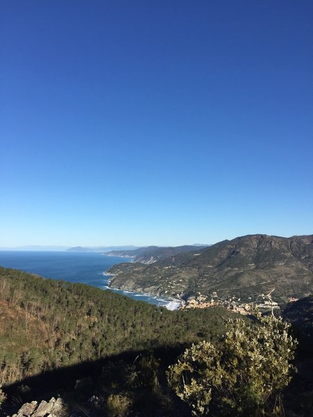 View to the northwest from Trail N 591