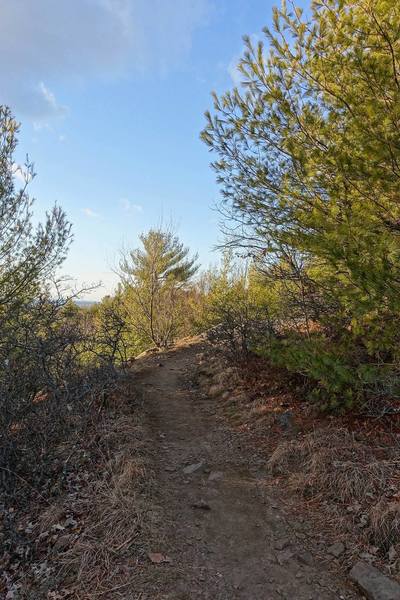 Nice views along the trail