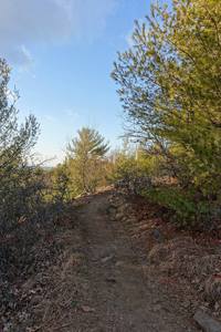 Nice views along the trail