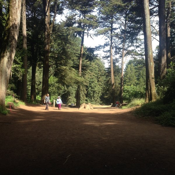 Redwood Bowl. Water Fountain straight ahead.