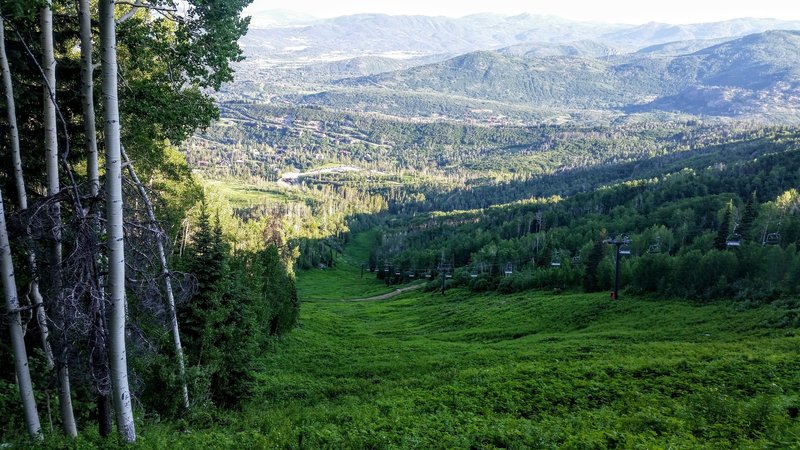 The trail weaves in and out of the canopy and on the switchback, peeks out for this clear view of the valley below.