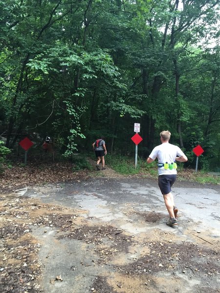 Runners entering Sugar Tree Trail