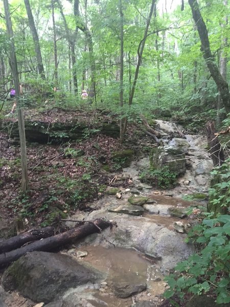 Creek Crossing on Smoke Rise Trail