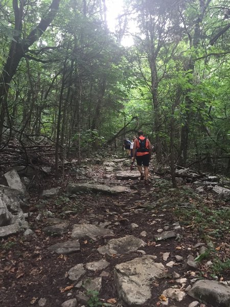 Rocky Section of trail near the end of the Smoke Rise Trail