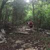 Rocky Section of trail near the end of the Smoke Rise Trail