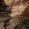 Deep in the Hermit Creek canyon