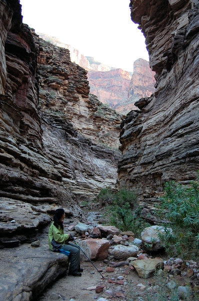 Enjoying the shade and views along the Lower Hermit Trail