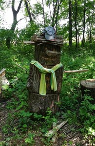 Someone to cheer you on