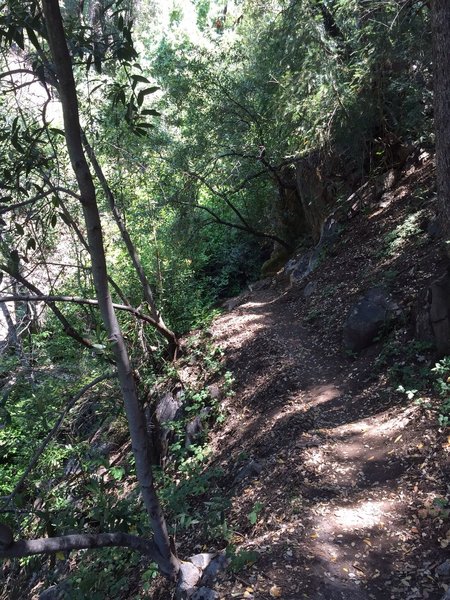 The final descent to the falls.