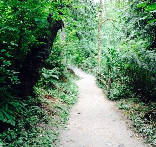 Lower MacLeay Trail along the creek.